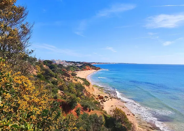 Sea & Sun Windmill By Be Cherish * 阿尔布费拉